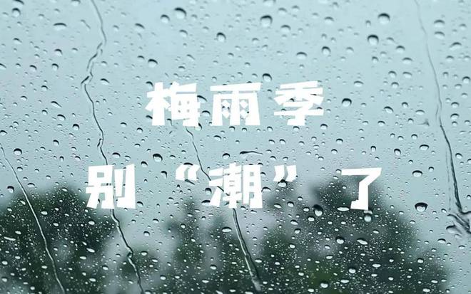 今日“入梅”：茶叶这样放才不会“发霉”！AG真人游戏平台2024年上海茶博会丨(图8)